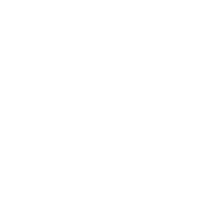 La Fée Soigneuse
